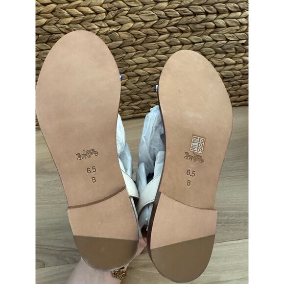 NWB! Coach SADIE SEMI MATTE CALF CHALK - Picture 9 of 11